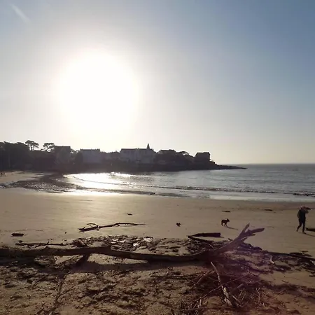 Palais Sur - Superbe Infiniment Rare - Le Phalene Apartament *