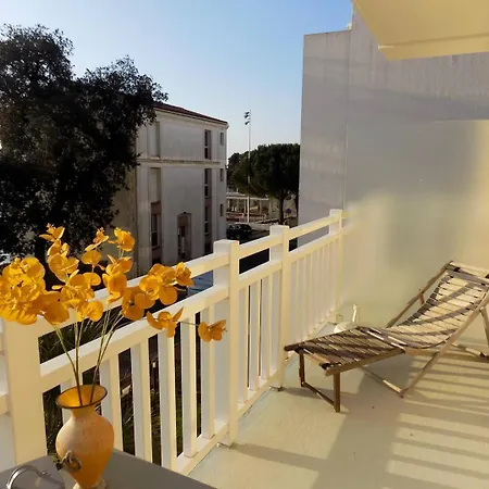 Palais Sur - Superbe Infiniment Rare - Le Phalene *