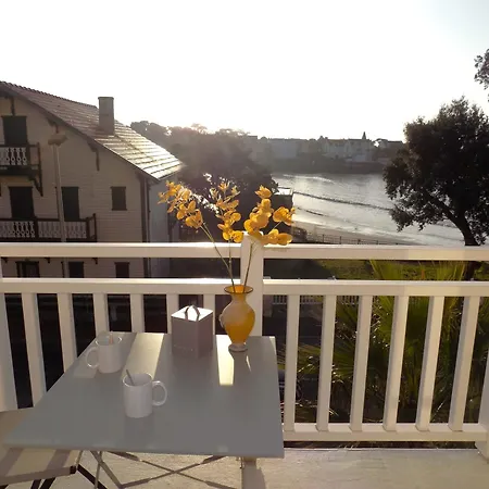 Palais Sur - Superbe Infiniment Rare - Le Phalene סן-פאלה-סור-מר