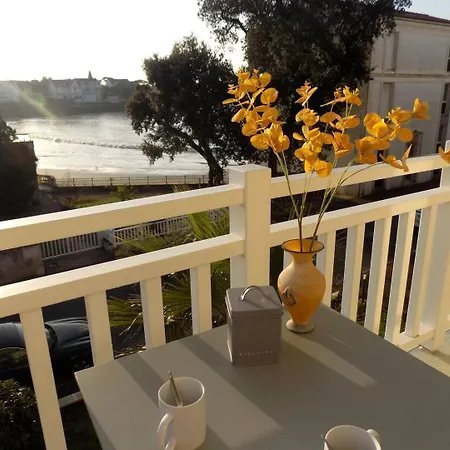 Palais Sur - Superbe Infiniment Rare - Le Phalene Daire Saint-Palais-sur-Mer