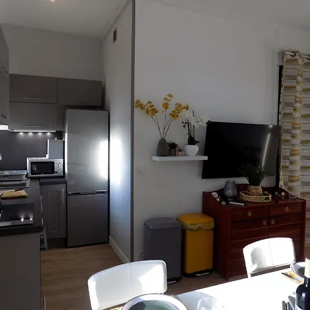 Palais Sur - Superbe Infiniment Rare - Le Phalene